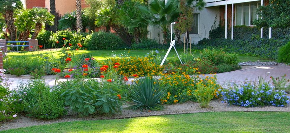 A University Desert Oasis