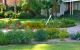 A University Desert Oasis