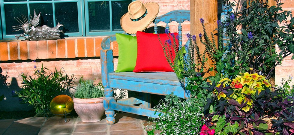 Courtyard Plants and Hardscape
