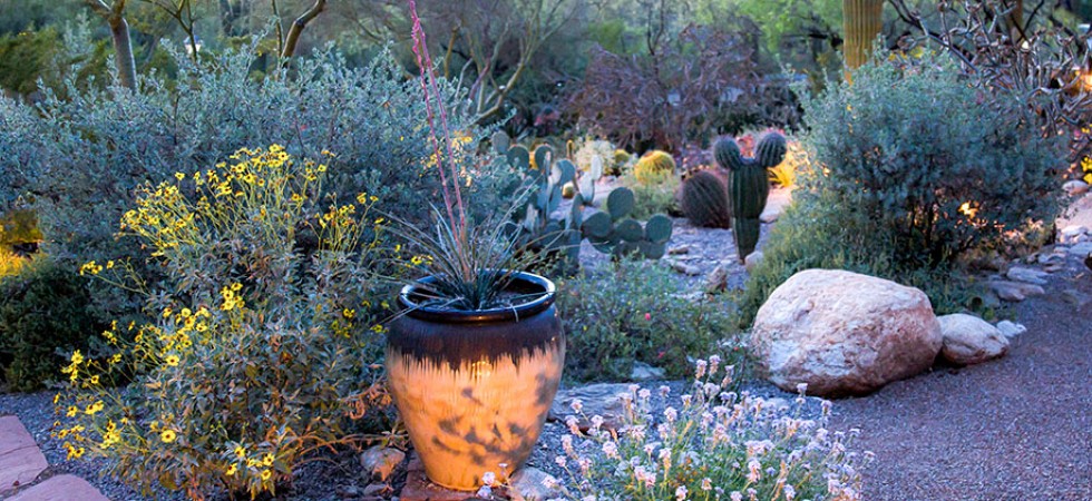 Walkways in  the desert